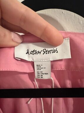NWT & Other Stories Pink Satin long sleeve dress
